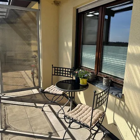 Przestronny Poludniowa 64 *