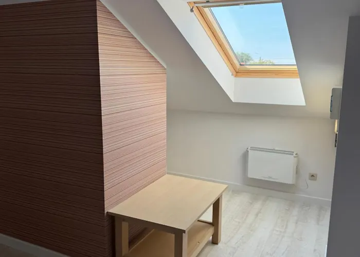 Przestronny Poludniowa 64 サルビノボ