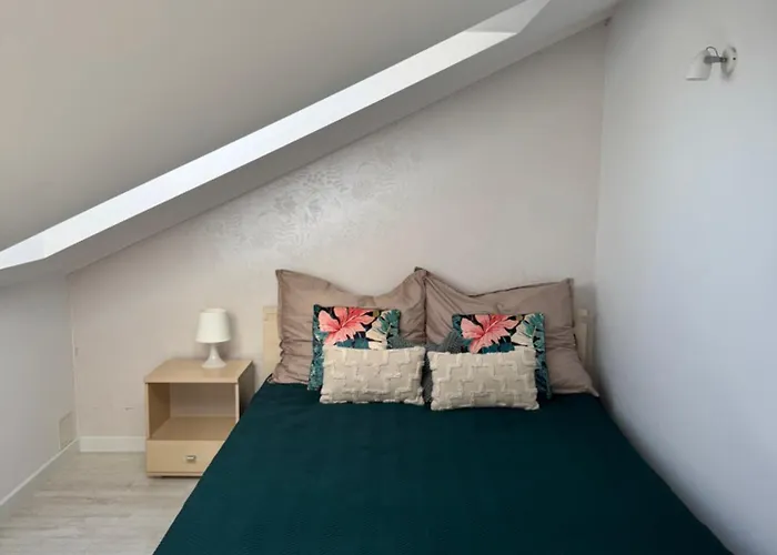 Przestronny Poludniowa 64 * サルビノボ