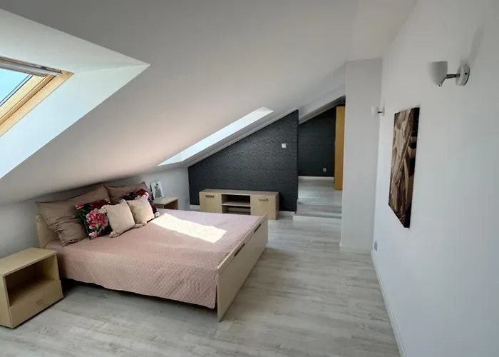 Przestronny Poludniowa 64 アパート