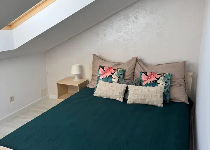 Przestronny Poludniowa 64 * サルビノボ