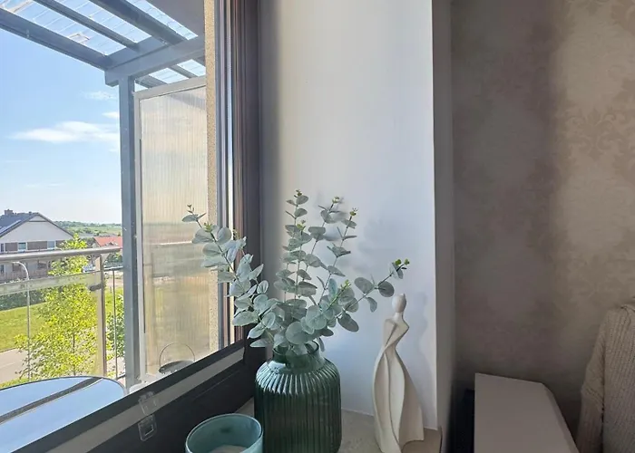 Przestronny Poludniowa 64 サルビノボ